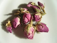 Blueten | Rosa Rosenknospen