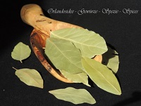 Bay Leaves