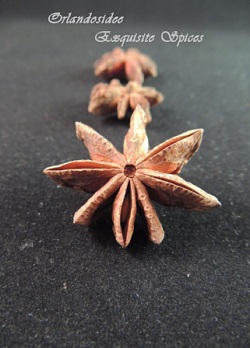 Star Anise