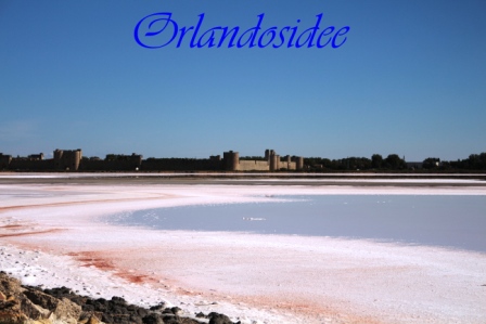 Fleur de Sel Camargue