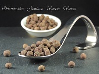 Piment Körner Orlandosidee